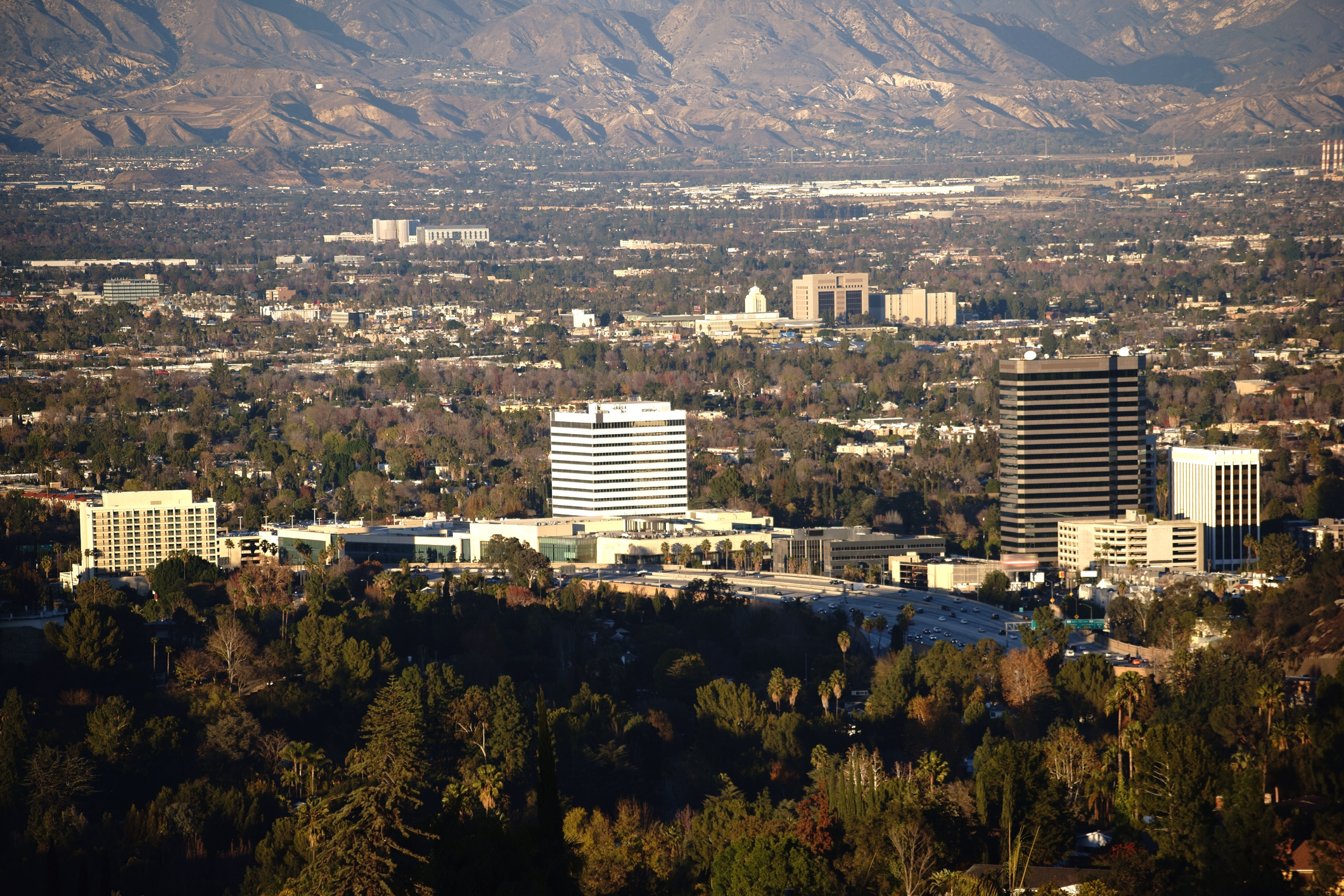 Warner Center